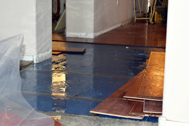 Professional Burst Pipe Cleanup technician working in Dalbo, MN